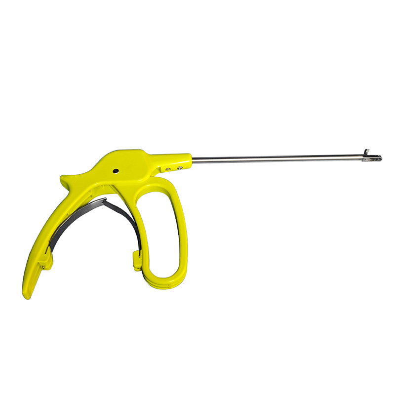 PORPEAS DE BIOPSIÁRIO DE BIOPSIÁRIO DO ÁLIGO DO ÁLIMENTO MÉDICO